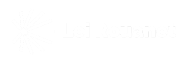 Lei Rouanet